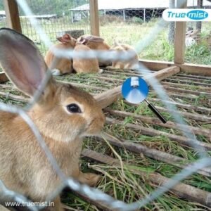 misting system for rabbit farm in india supplier manufacturer